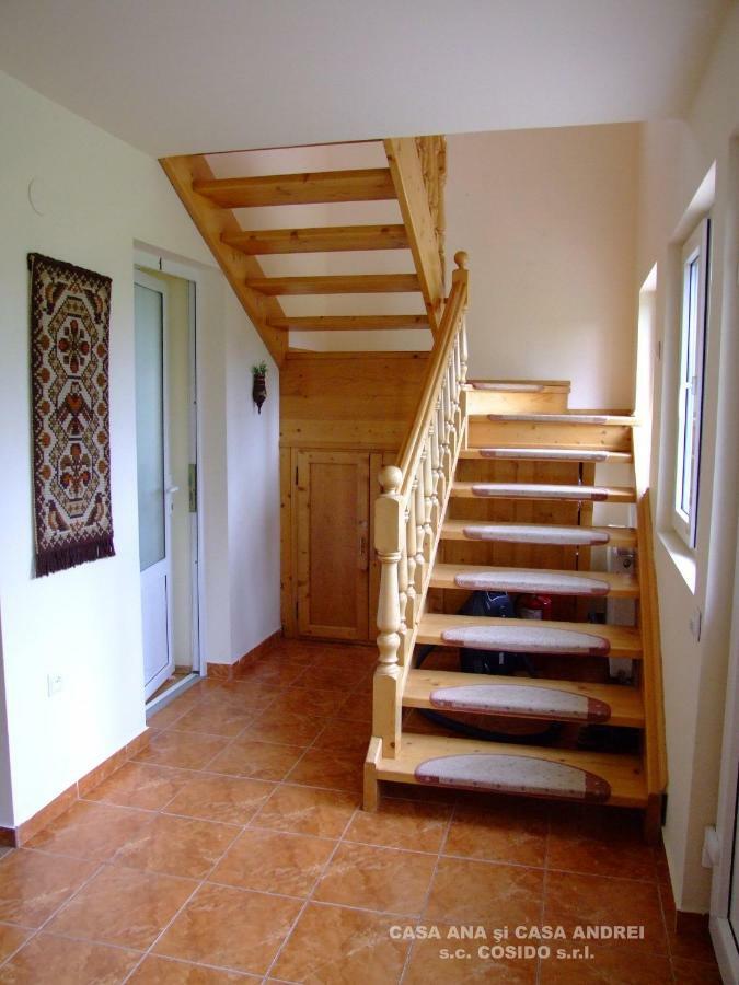 Villa Casa Ana Vatra Dornei à Dealu Floreni Extérieur photo