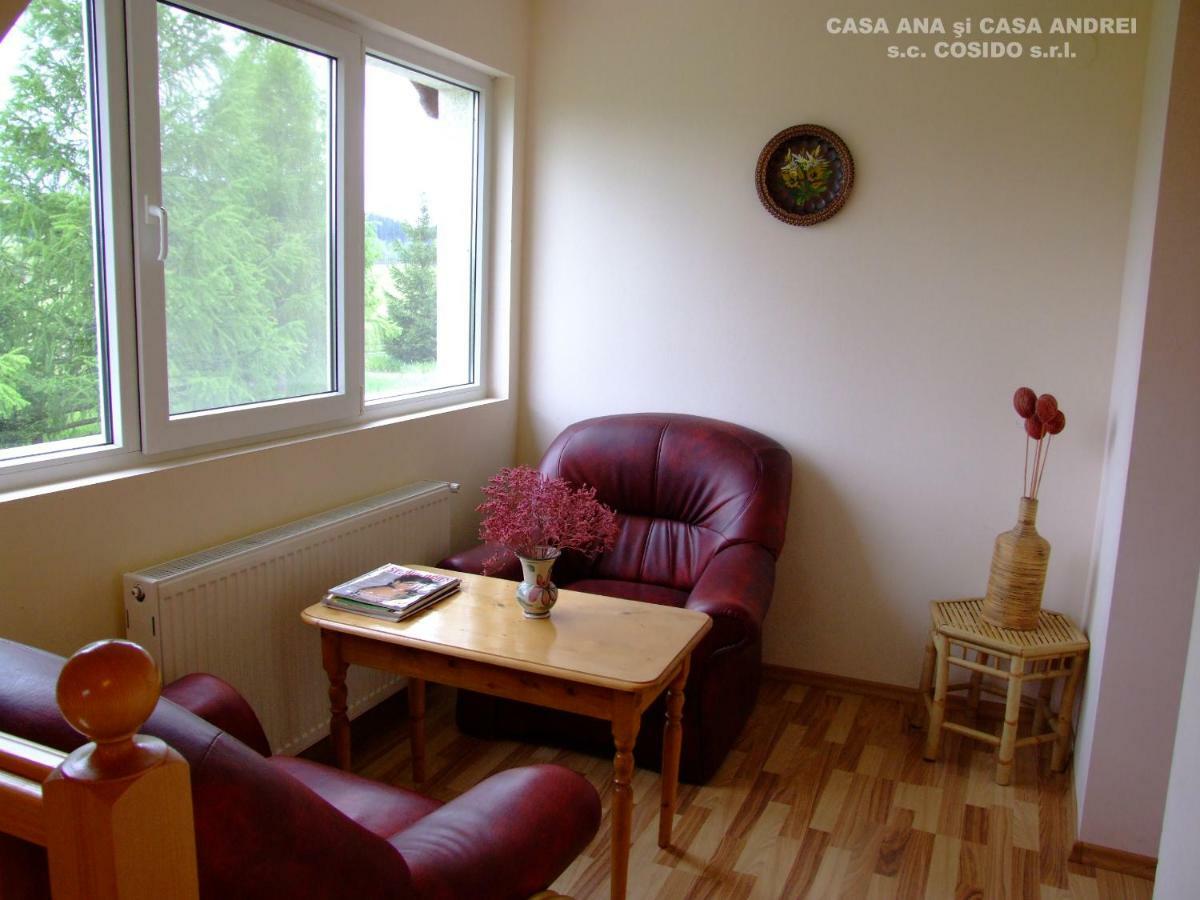 Villa Casa Ana Vatra Dornei à Dealu Floreni Extérieur photo