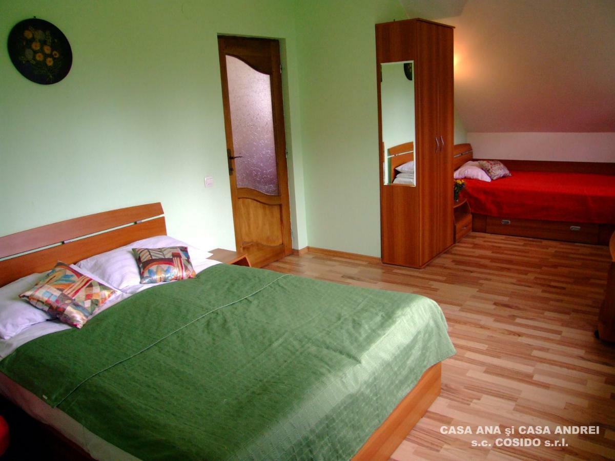Villa Casa Ana Vatra Dornei à Dealu Floreni Extérieur photo