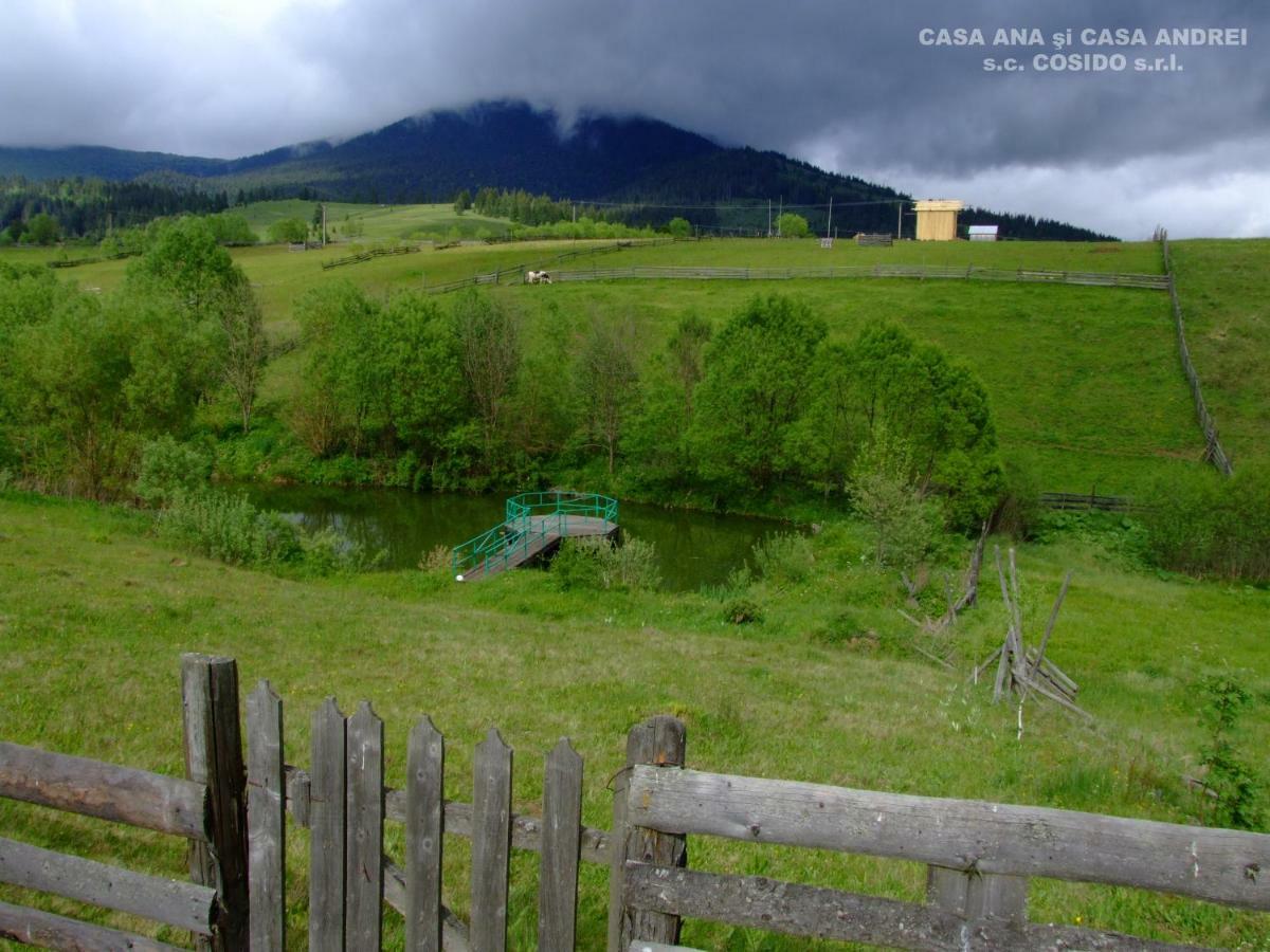 Villa Casa Ana Vatra Dornei à Dealu Floreni Extérieur photo