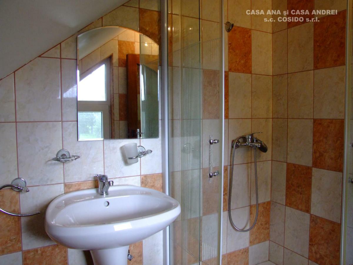 Villa Casa Ana Vatra Dornei à Dealu Floreni Extérieur photo