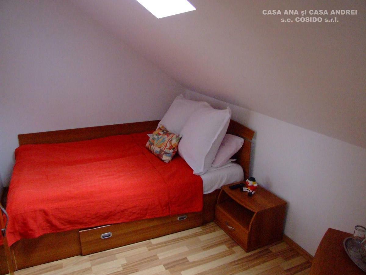 Villa Casa Ana Vatra Dornei à Dealu Floreni Extérieur photo