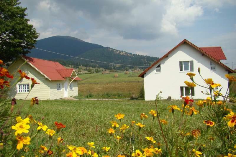 Villa Casa Ana Vatra Dornei à Dealu Floreni Extérieur photo