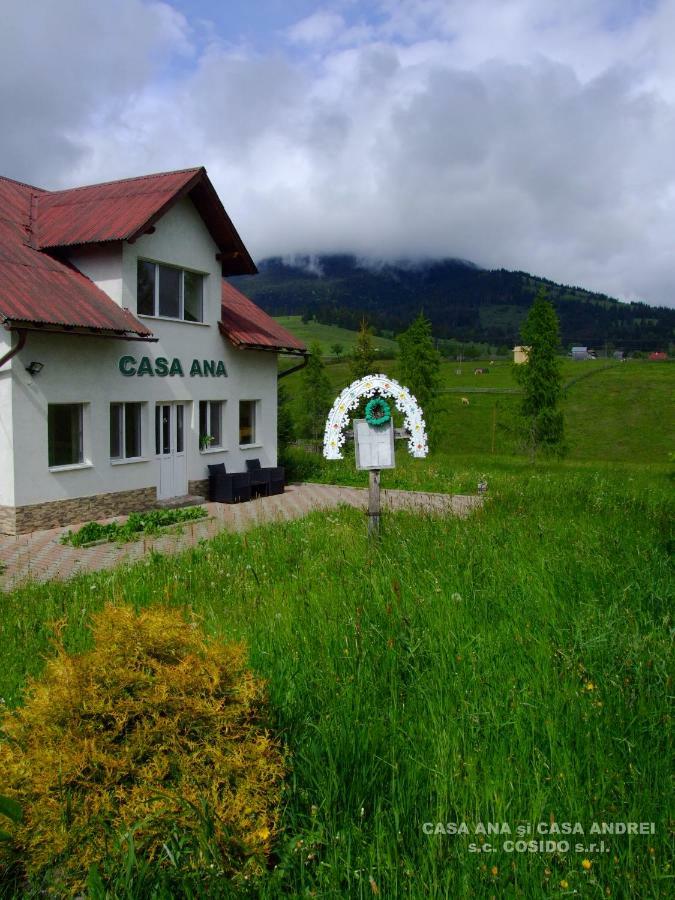 Villa Casa Ana Vatra Dornei à Dealu Floreni Extérieur photo